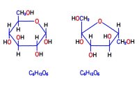 hydrolysis