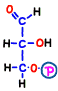 glyceraldehyde 3-phosphate